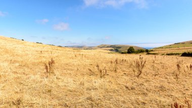 Dorset E, Dorset alanları yaz 2018 manzara