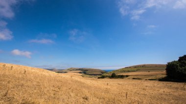 Dorset F, Dorset alanları yaz 2018 manzara