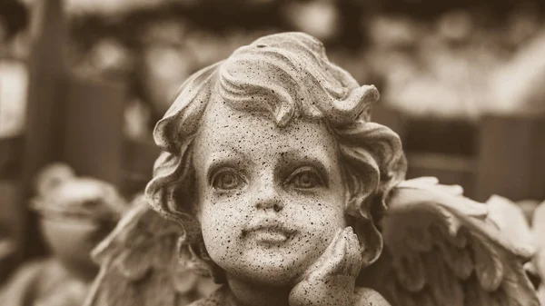 Close Van Angel Baby Face Sepia Toon Cherub Gezicht Ondiepe — Stockfoto