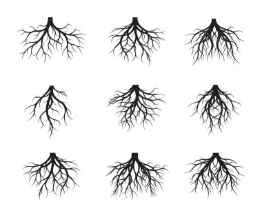 Siyah çıplak kök kümesi. Vektör çizim. Bitkiler ve Bahçe.