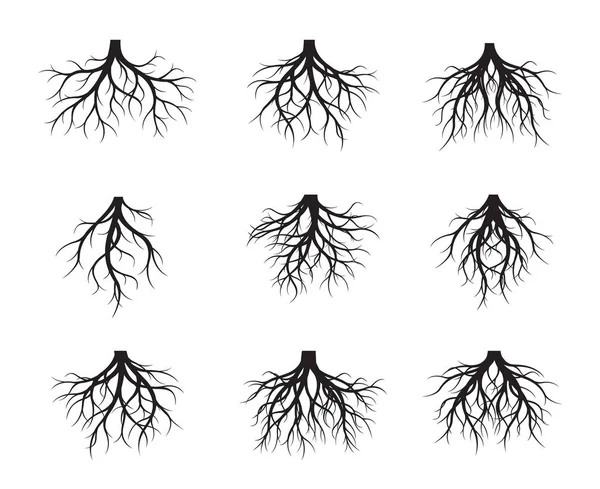 Σετ Μαύρη Γυμνή Ρίζα Εικονογράφηση Διάνυσμα Φυτά Και Τον Κήπο — Διανυσματικό Αρχείο