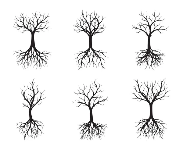 Set Black Trees Naked Root Vector Illustration Plants Garden — Stock Vector