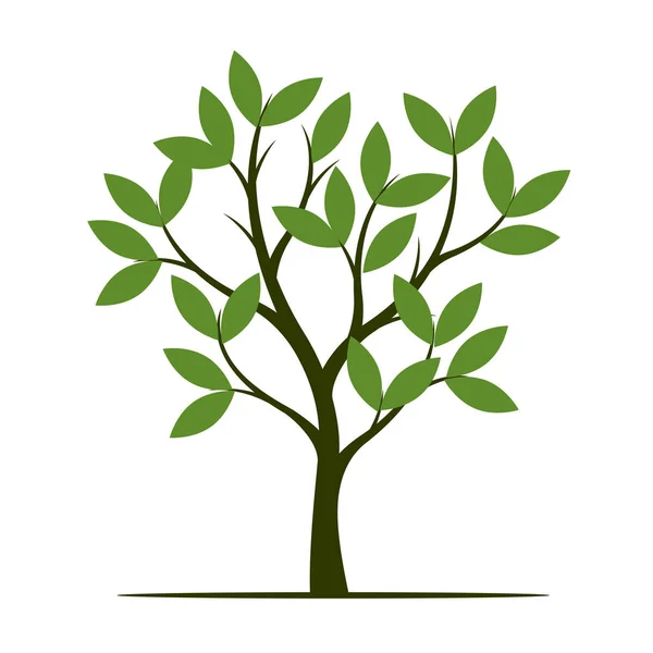 Zelená Jarní Strom Vektorové Ilustrace Rostliny Zahradě — Stockový vektor