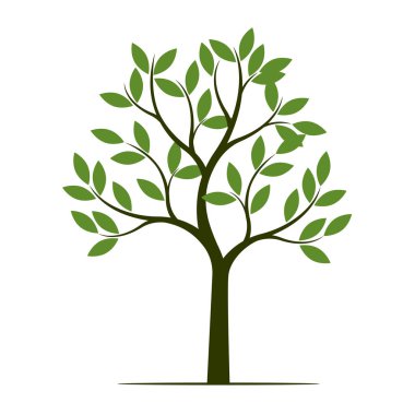 Yeşil yaz ağaç. Vektör çizim. Bahçede bitki.