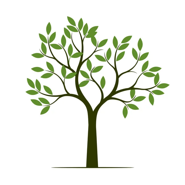 Zelené Letní Strom Vektorové Ilustrace Rostliny Zahradě — Stockový vektor