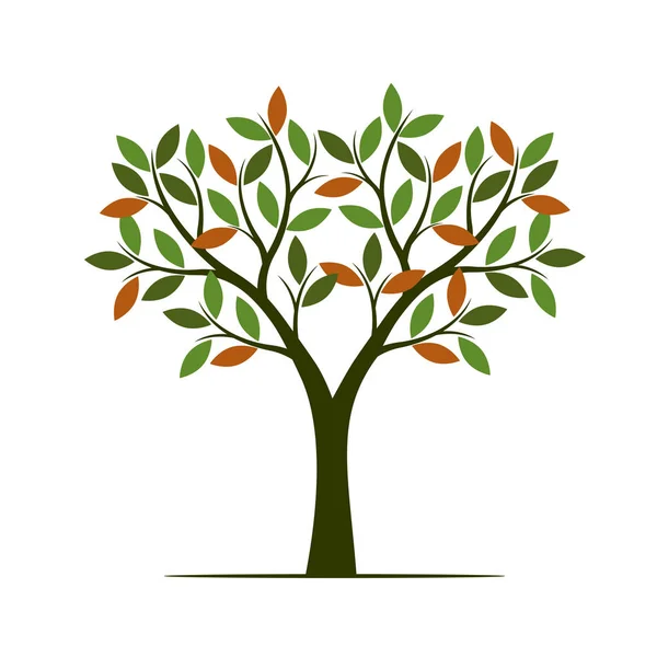 Grüner Sommerbaum Vektorillustration Pflanze Garten — Stockvektor