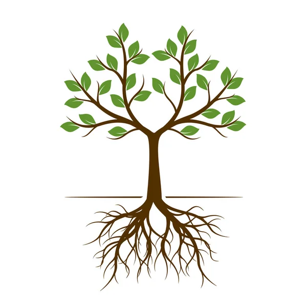 Цветная Форма Дерева Корнями Векторная Иллюстрация Посадить Саду — стоковый вектор
