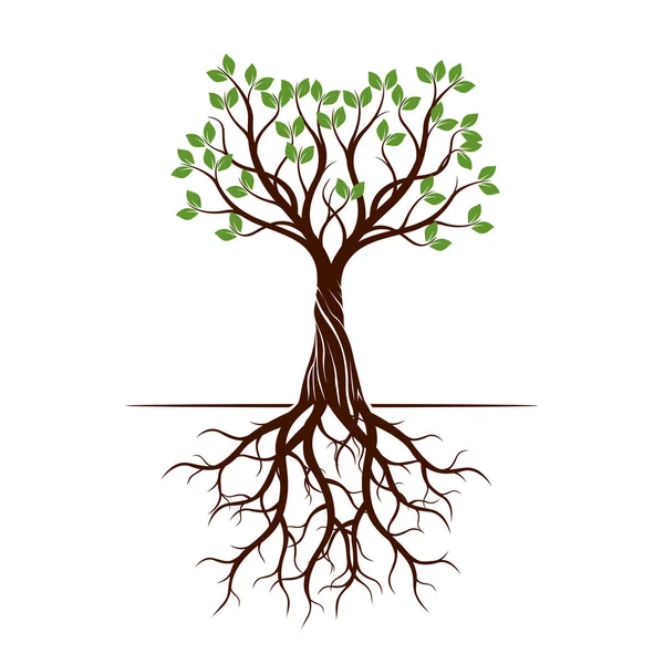Farbe Form Des Baumes Mit Wurzeln Vektorillustration Pflanze Garten — Stockvektor