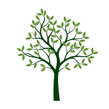 Yeşil bahar ağacı. Vektör çizim. Bahçede bitki.