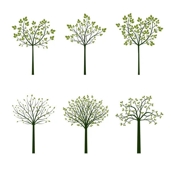 Arbre Vert Racines Illustration Vectorielle Nature Jardin — Image vectorielle