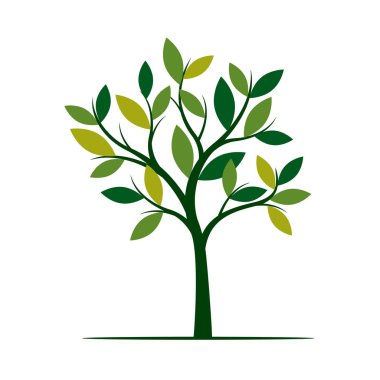 Yeşil bahar ağacı. Vektör çizim. Bahçede bitki.