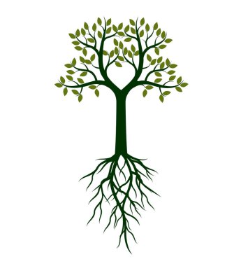 Yeşil ağaç şeklinde. Vektör çizim. Bahçede bitki.