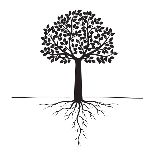 Siyah ağaçlar ve kökleri. Vektör çizim. Bitki ve Bahçe.