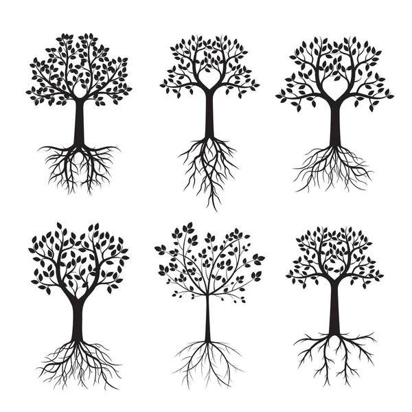 Set Zwart Bomen Wortels Vectorillustratie Natuur Tuin — Stockvector