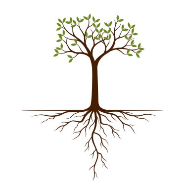 Renk ağaç ve kökleri. Vektör çizim. Bitki ve Bahçe.