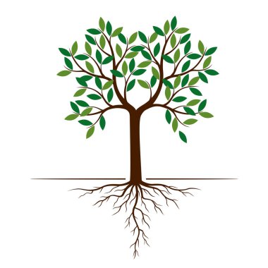 Renk ağaç ve kökleri. Vektör çizim. Bitki ve Bahçe.