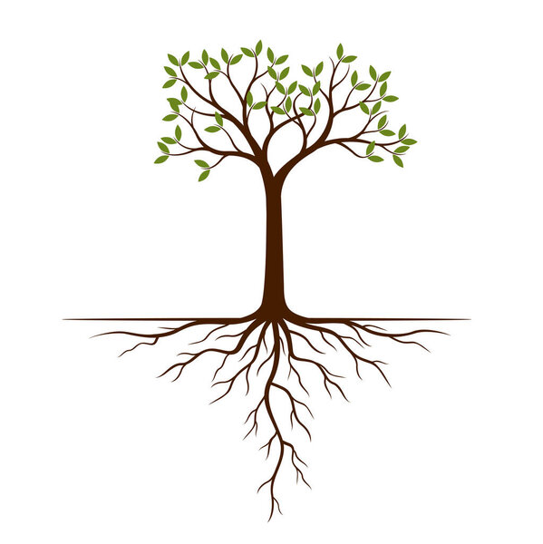 Цветное дерево и корни. Векторная иллюстрация. Сажайте и сажайте
.