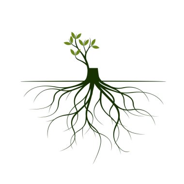 Ağaç kökleri ve uzuv çimlenme. Bitkilerin kökleri. Anahat illüstrasyon.