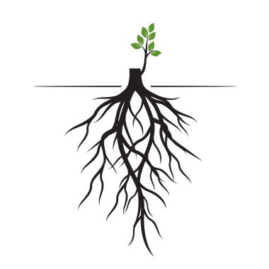 Ağaç kökleri ve uzuv çimlenme. Bitkilerin kökleri. Anahat illüstrasyon.