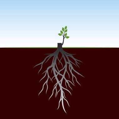 Ağaç kökleri ve uzuv çimlenme. Bitkilerin kökleri. Anahat illüstrasyon.