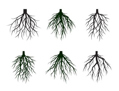 Siyah kök ağaç topluluğu. Vektör çizim. Bitkiler ve Bahçe.