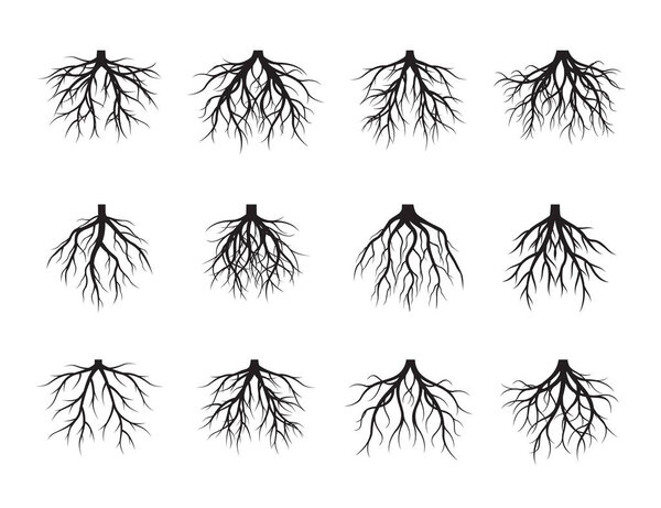 Collection of Black Root Tree. Vector Illustration. Plants and garden.