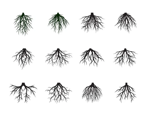 Collection Arbres Racinaires Noirs Illustration Vectorielle Plantes Jardin — Image vectorielle