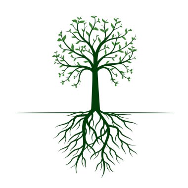 Beyaz arka planda yaprakları ve kökleri ile yeşil ağaç. Vektör Illustration.