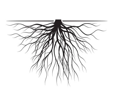 Siyah Ağaç Kökleri. Vektör İllüstrasyonu.