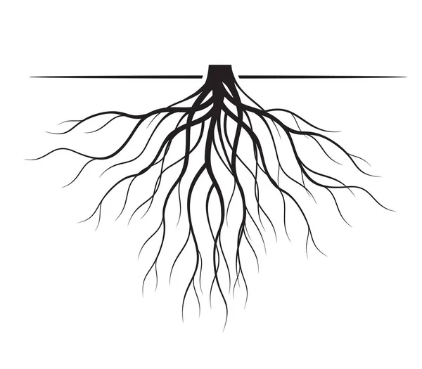 Raíces de árbol negro. Ilustración vectorial . — Vector de stock