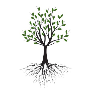 Yapraklı Yeşil Ağaç. Vektör taslağı çizimi. Bahçede Bitki.