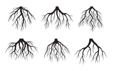 Beyaz arka planda siyah ağaç kökleri. Vektör İllüstrasyonu. Bahçede Bitki.