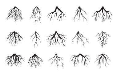 Set of black Tree Roots on white background. Vector Illustration. Plant in Garden. clipart