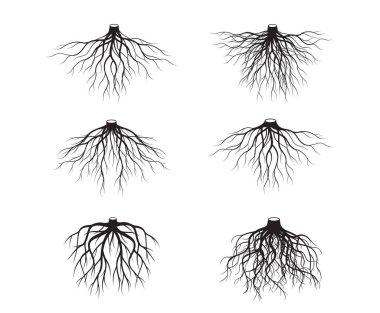 Kökleri olan siyah şekilli ağaçlar. Vektör İllüstrasyonu. Bitki ve Bahçe.