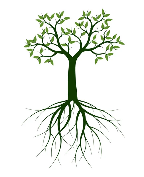 Arbol Seco Con Raizストックベクター ロイヤリティフリーarbol Seco Con Raizイラスト ページ 2 Depositphotos