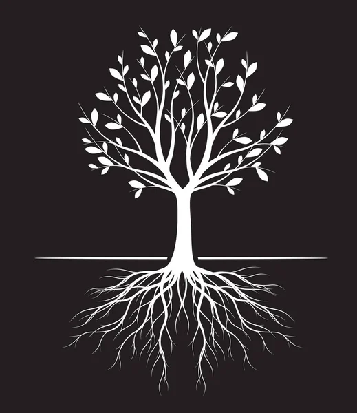 Suchy Strom S Root Vector Art Stock Images ページ 2 Depositphotos