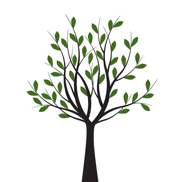 Зеленое Дерево Листьями Векторный Контур Иллюстрации Посадить Саду — стоковый вектор