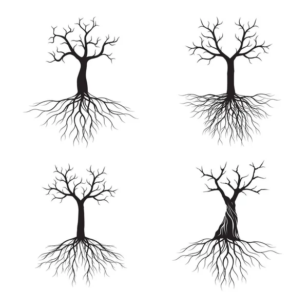 Set Black Shape Trees Roots Vector Illustration Plant Garden — Stock Vector