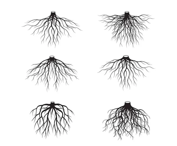 有根部的一组黑色形状的树 病媒说明 植物及花园 — 图库矢量图片