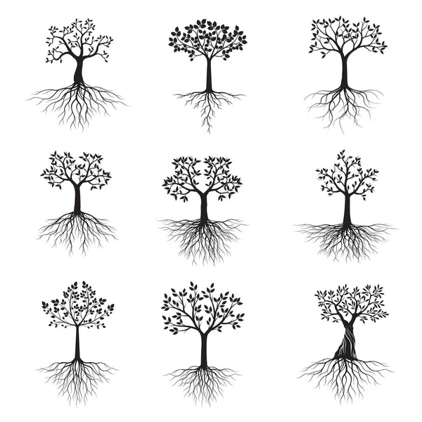 Kökleri Olan Siyah Şekilli Ağaçlar Vektör Llüstrasyonu Bitki Bahçe — Stok Vektör