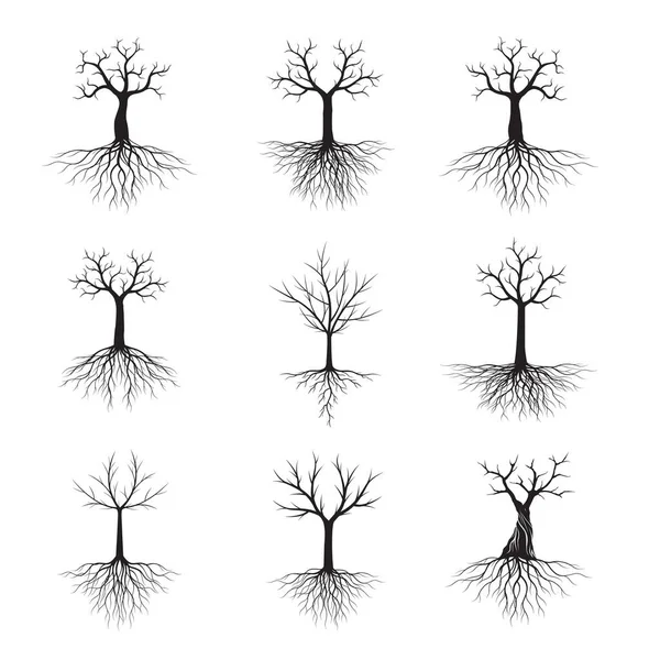 Σύνολο Μαύρων Δέντρων Ρίζες Εικονογράφηση Διανύσματος Φυτό Και Κήπος — Διανυσματικό Αρχείο