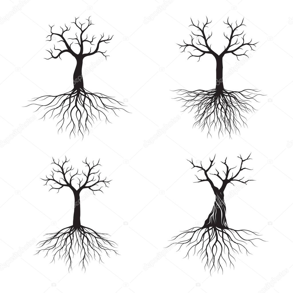 Set of Black shape Trees with Roots. Vector Illustration. Plant and Garden.