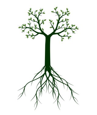 Yeşil Bahar Ağacı. Vektör taslağı çizimi. Bahçede bitki var..