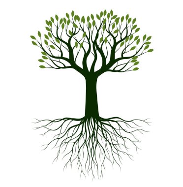 Yaz ağacı. Vektör taslağı çizimi. Bahçede bitki yetiştirme. EPS dosyası