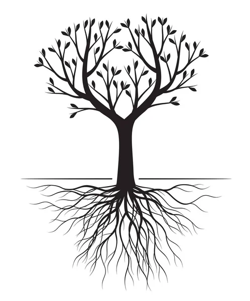 Černý Strom Kořeny Vektorová Ilustrace Rostlina Zahrada — Stockový vektor