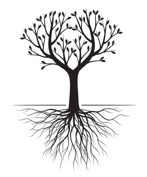 Árbol Negro Con Raíces Ilustración Vectorial Planta Jardín — Archivo Imágenes Vectoriales