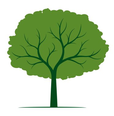 Yeşil yapraklı ağaç şekli. Vektör taslağı çizimi. Bahçede bitki yetiştirme. EPS dosyası.