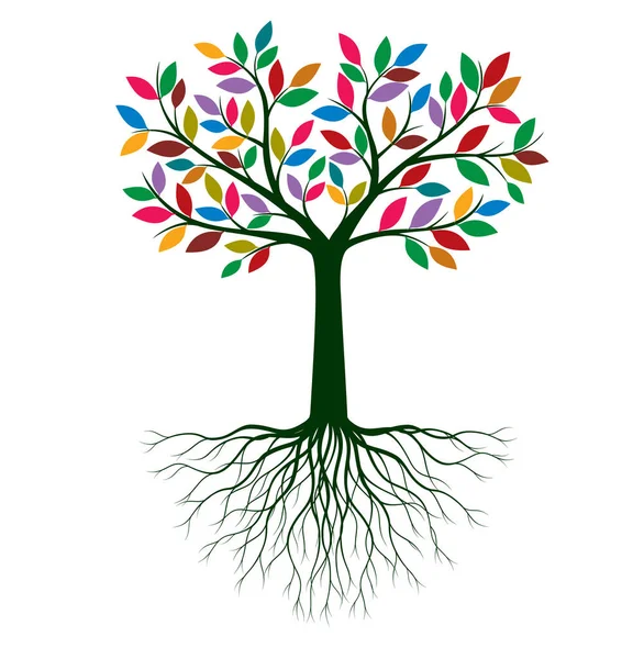 Renkli yaprakları ve kökleri olan ağaç şekli. Vektör taslağı çizimi. Bahçede Bitki.