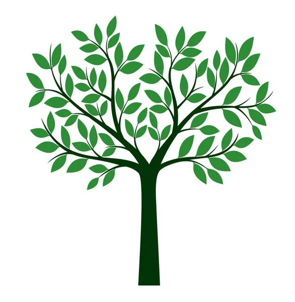 Yeşil yapraklı ağaç şekli. Vektör taslağı çizimi. Bahçede bitki yetiştirme. EPS dosyası.