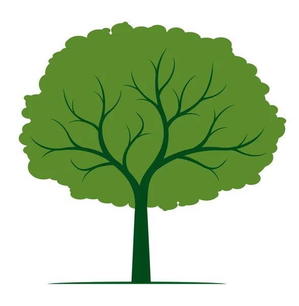 Forma Árvore Com Folhas Verdes Esboço Vetorial Ilustração Planta Jardim —  Vetores de Stock